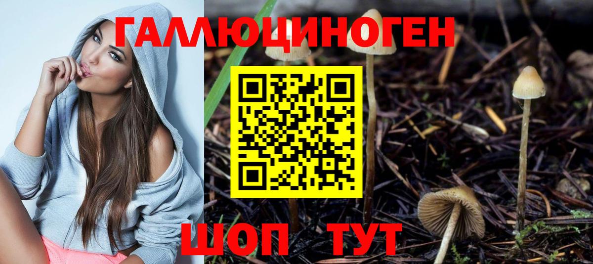где продают наркотики  Вход с VPN  Мелеуз  Псилоцибиновые грибы Psilocybe 