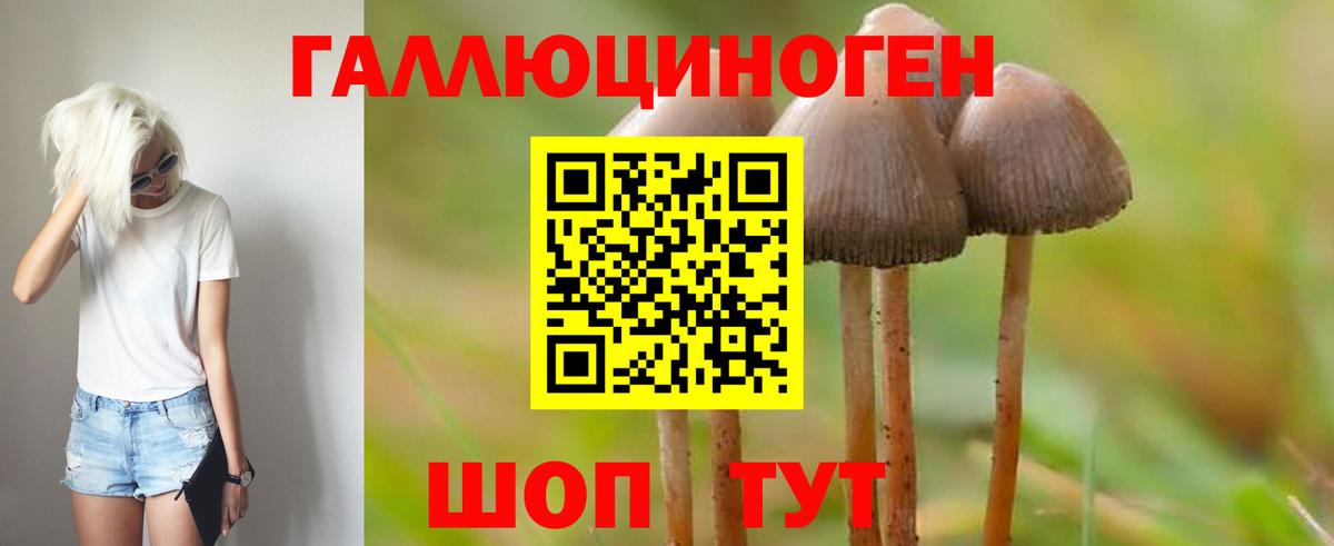 Псилоцибиновые грибы Magic Shrooms Мелеуз
